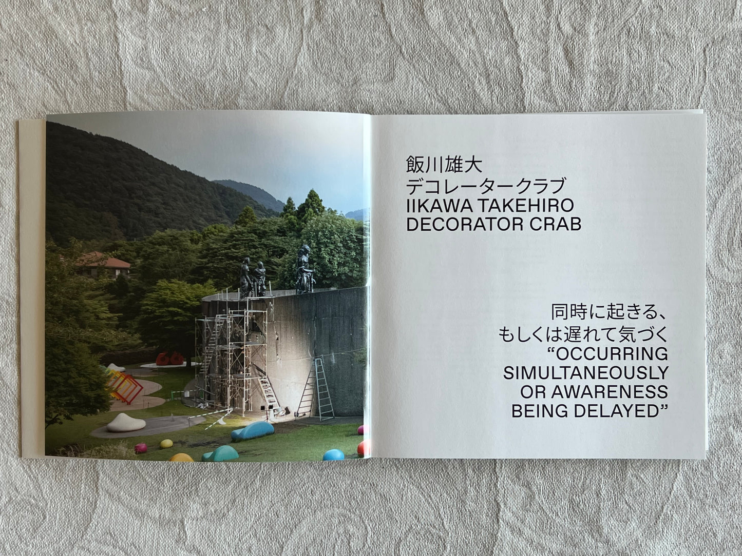 「デコレータークラブ：同時に起きる、もしくは遅れて気づく」彫刻の森美術館での個展のカタログ（2022年）